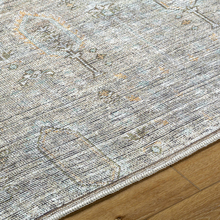 Aglaja Traditional Style Gray Machine Washable Area Rug - The Rug Decor