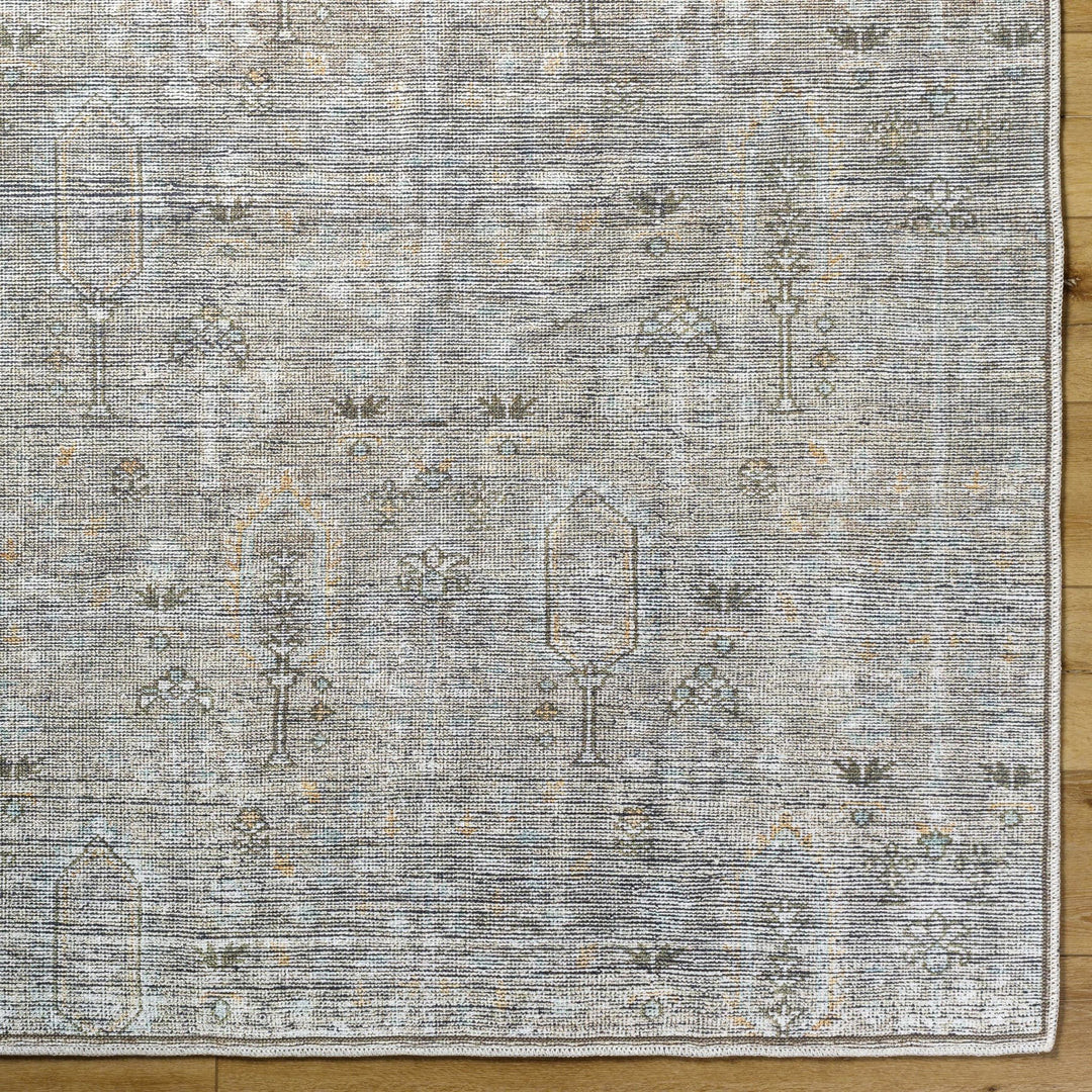 Aglaja Traditional Style Gray Machine Washable Area Rug - The Rug Decor
