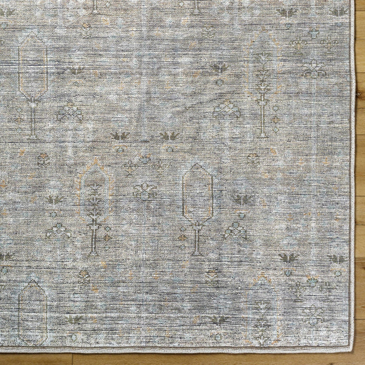 Aglaja Traditional Style Gray Machine Washable Area Rug - The Rug Decor