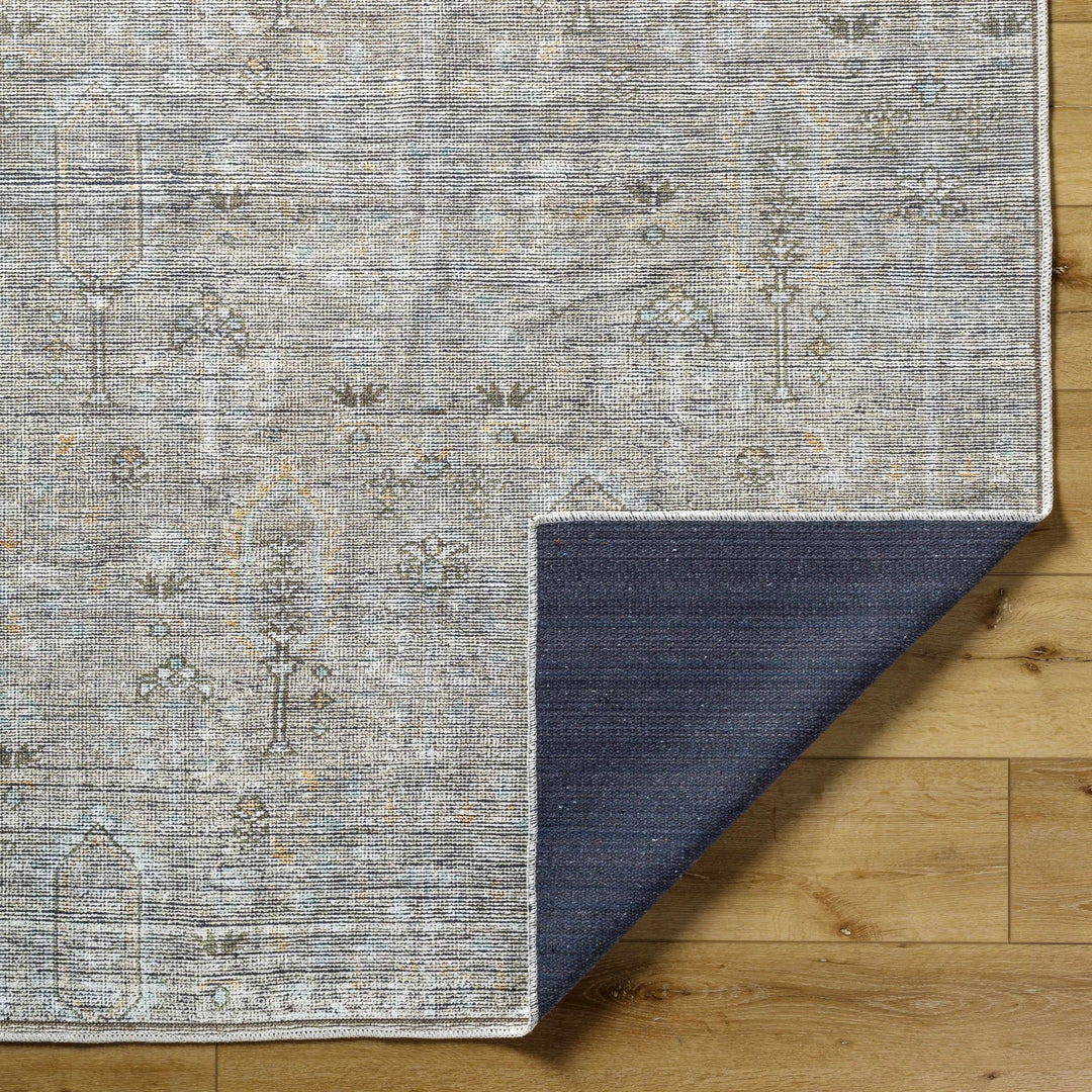 Aglaja Traditional Style Gray Machine Washable Area Rug - The Rug Decor