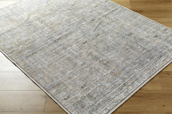 Aglaja Traditional Style Gray Machine Washable Area Rug - The Rug Decor