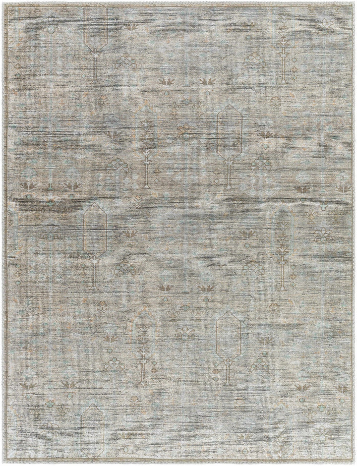 Aglaja Traditional Style Gray Machine Washable Area Rug - The Rug Decor