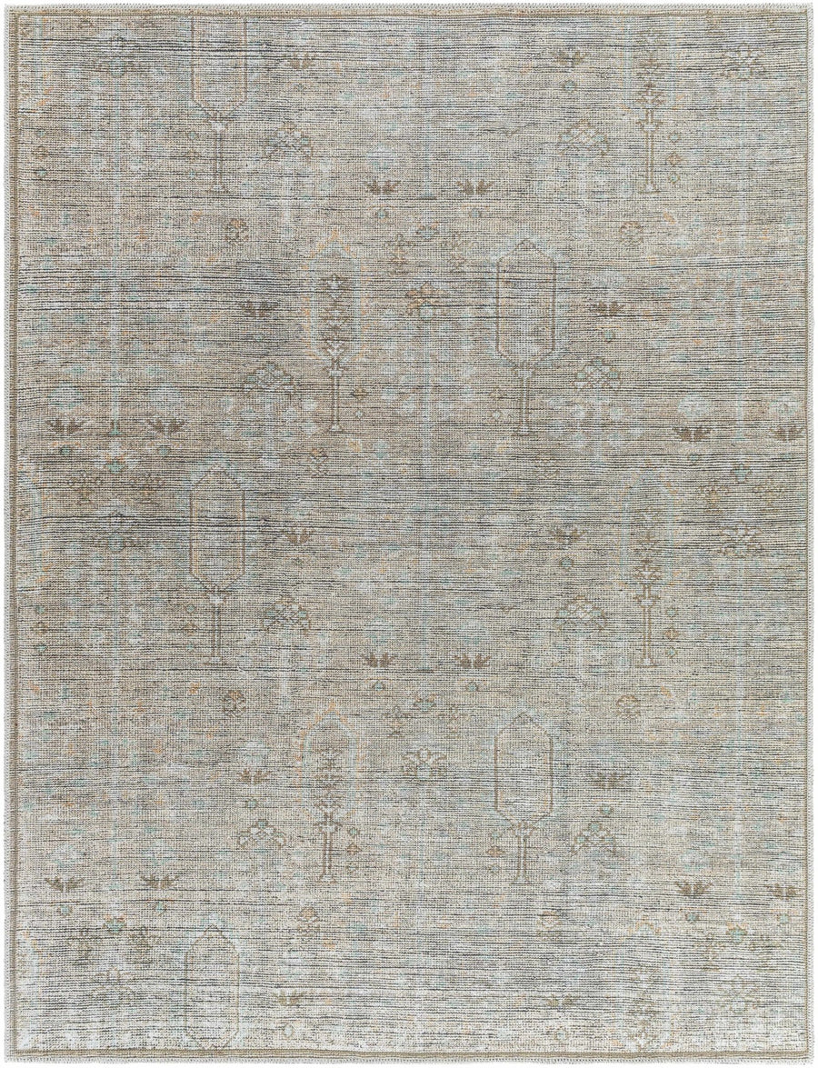 Aglaja Traditional Style Gray Machine Washable Area Rug - The Rug Decor