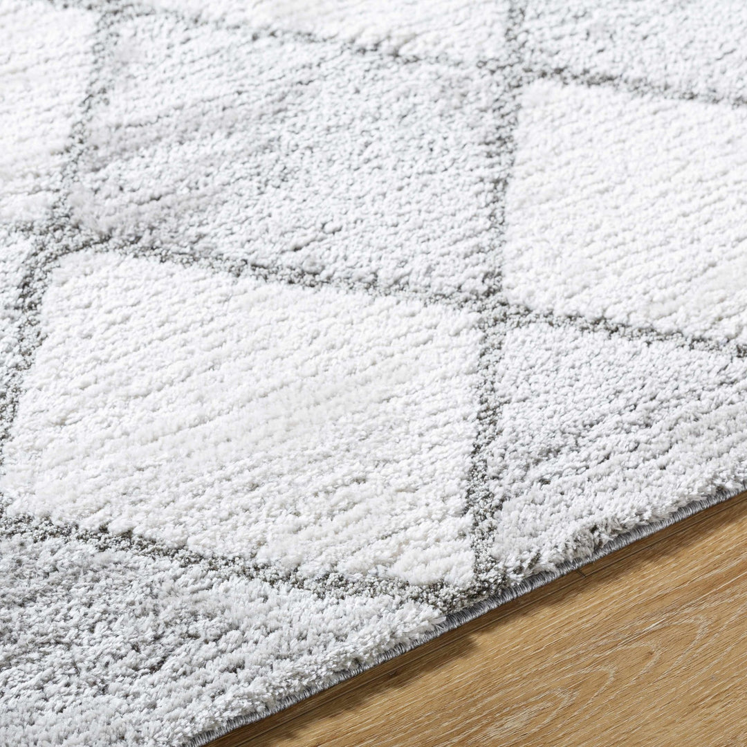 Aideen Geometical Design Ivory And Gray Shag Rug - The Rug Decor