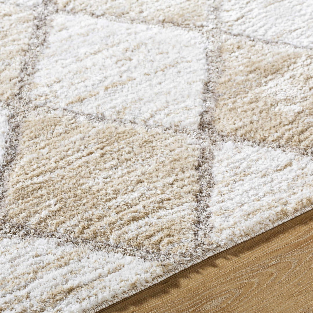 Aideen Modern Design Cream Machine Woven Shag Rug - The Rug Decor