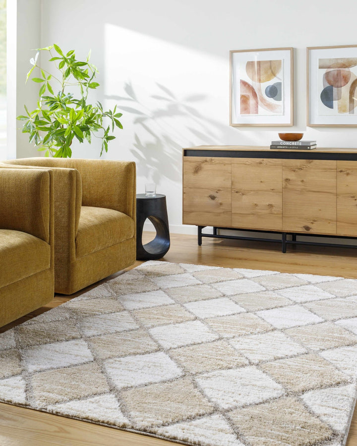 Aideen Modern Design Cream Machine Woven Shag Rug - The Rug Decor