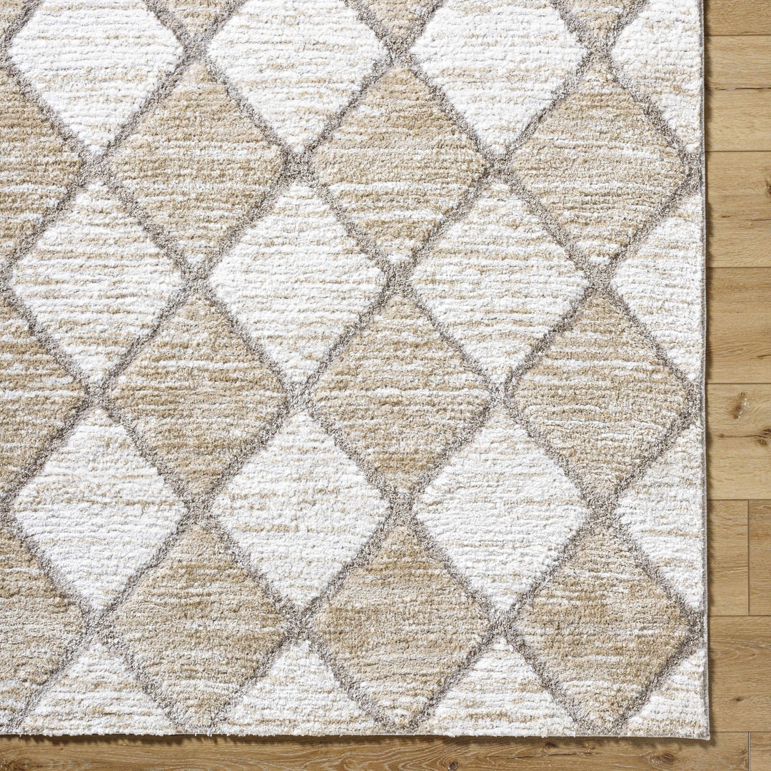 Aideen Modern Design Cream Machine Woven Shag Rug - The Rug Decor