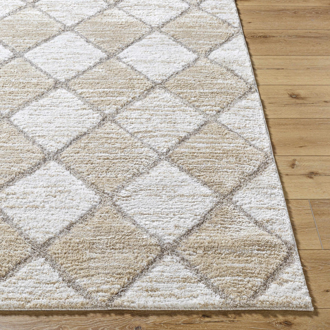 Aideen Modern Design Cream Machine Woven Shag Rug - The Rug Decor