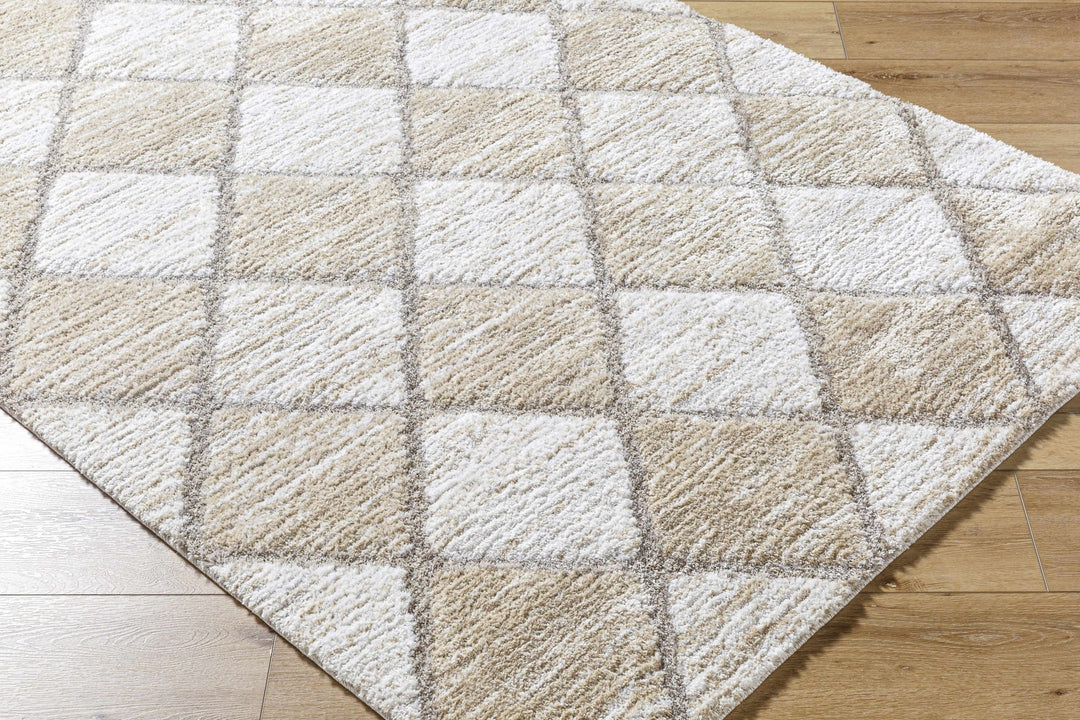 Aideen Modern Design Cream Machine Woven Shag Rug - The Rug Decor