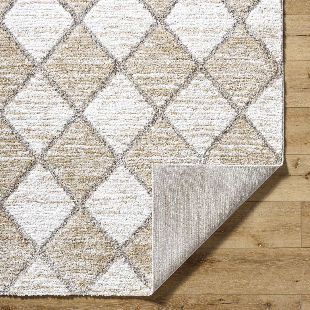 Aideen Modern Design Cream Machine Woven Shag Rug - The Rug Decor