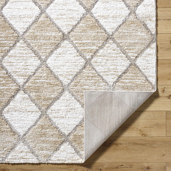 Aideen Modern Design Cream Machine Woven Shag Rug - The Rug Decor