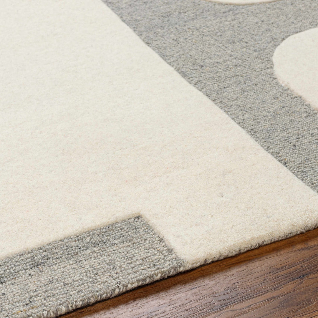 Aiden Contemporary Ivory And Gray Area Rug - The Rug Decor