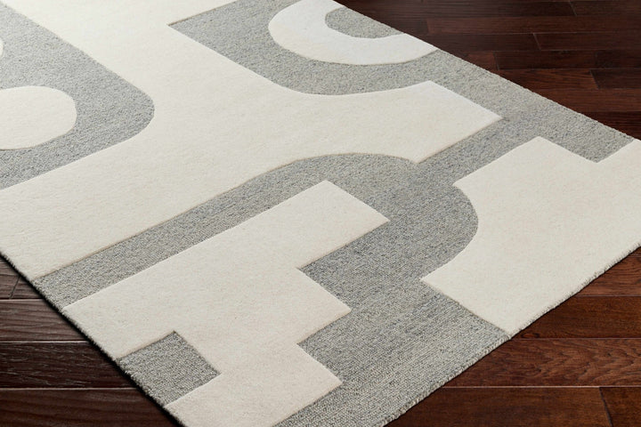 Aiden Contemporary Ivory And Gray Area Rug - The Rug Decor