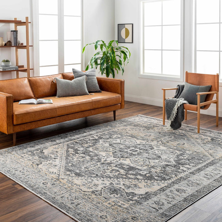 Ailsa Traditional Gray And Beige Area Rug - The Rug Decor