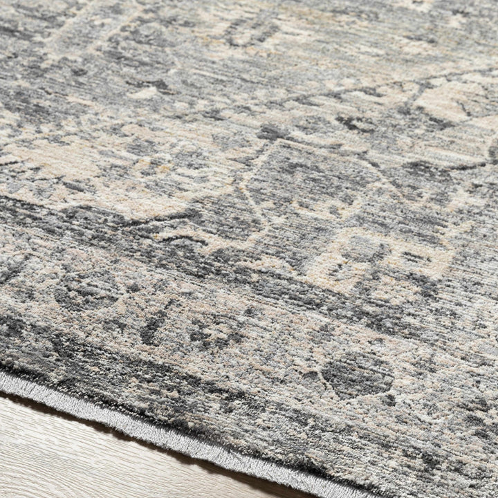 Ailsa Traditional Gray And Beige Area Rug - The Rug Decor