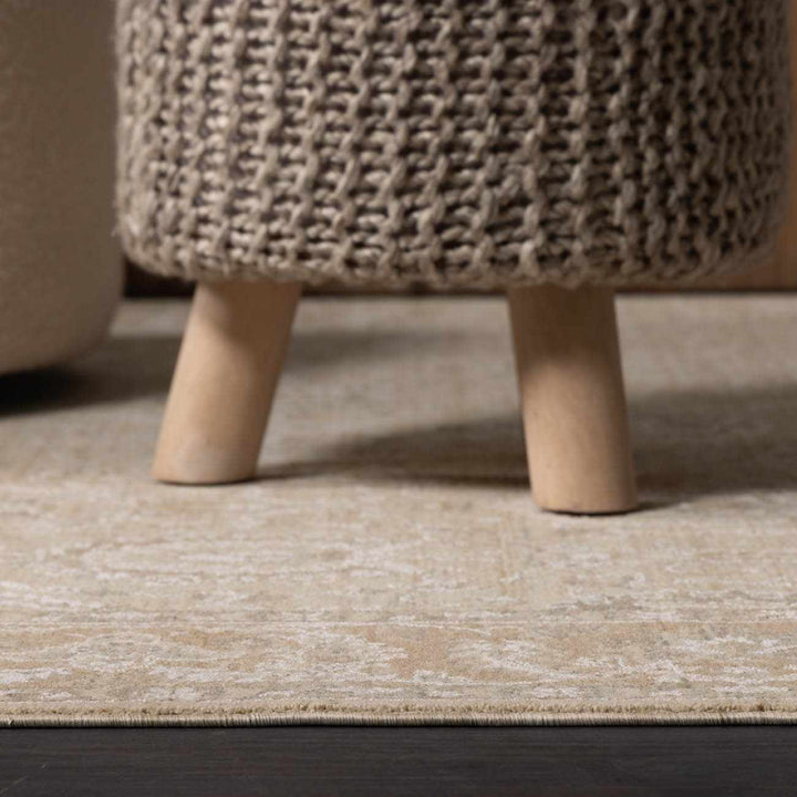 Airlia Traditional Style Beige And Gray Area Rug - The Rug Decor