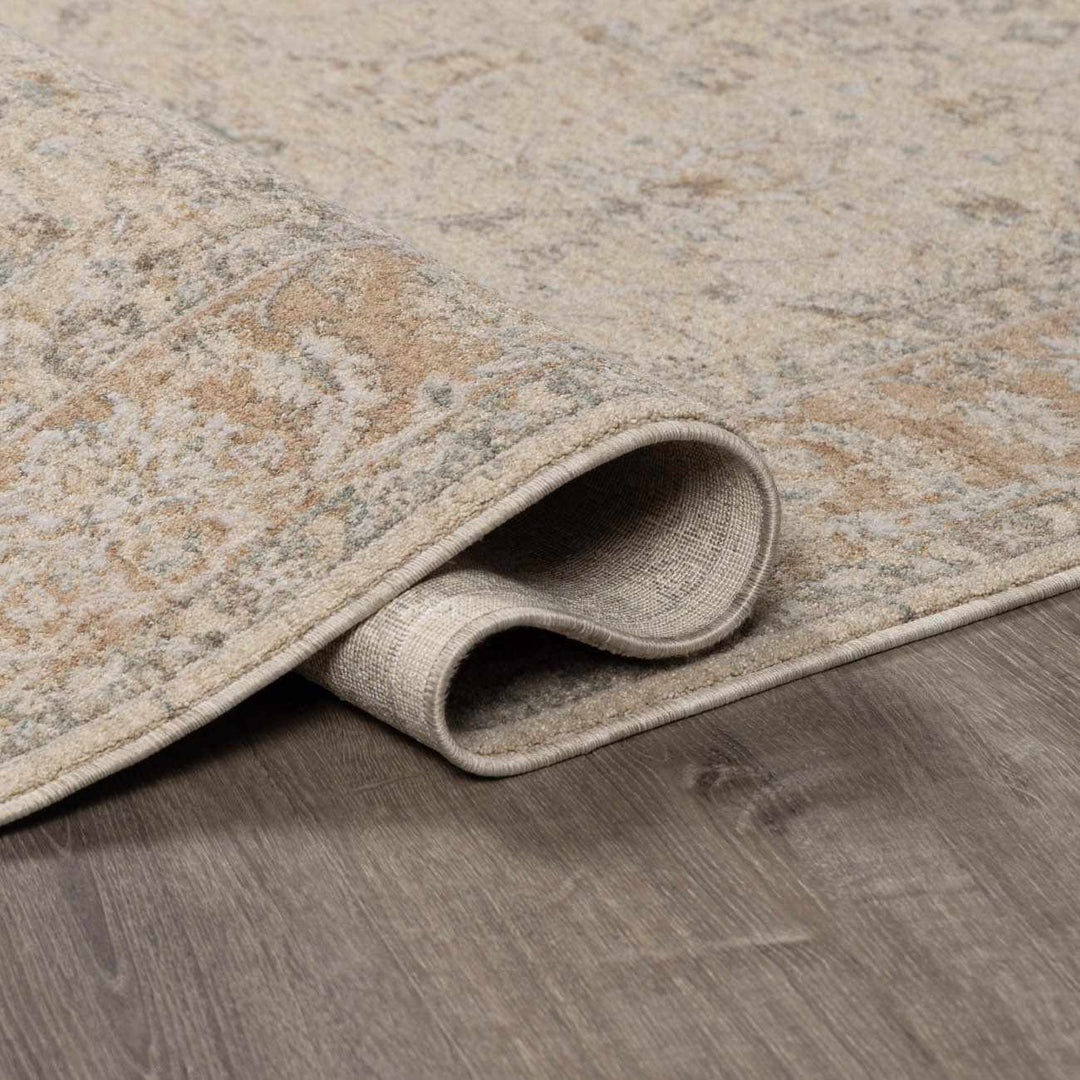 Airlia Traditional Style Beige And Gray Area Rug - The Rug Decor