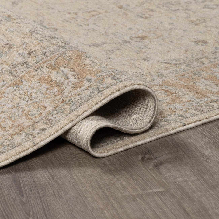 Airlia Traditional Style Beige And Gray Area Rug - The Rug Decor