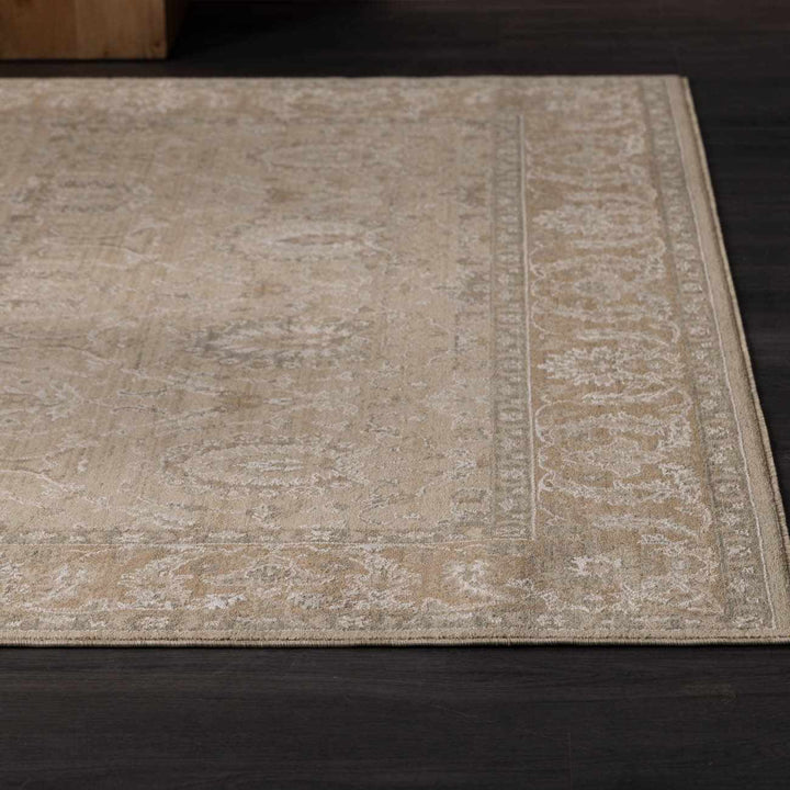 Airlia Traditional Style Beige And Gray Area Rug - The Rug Decor