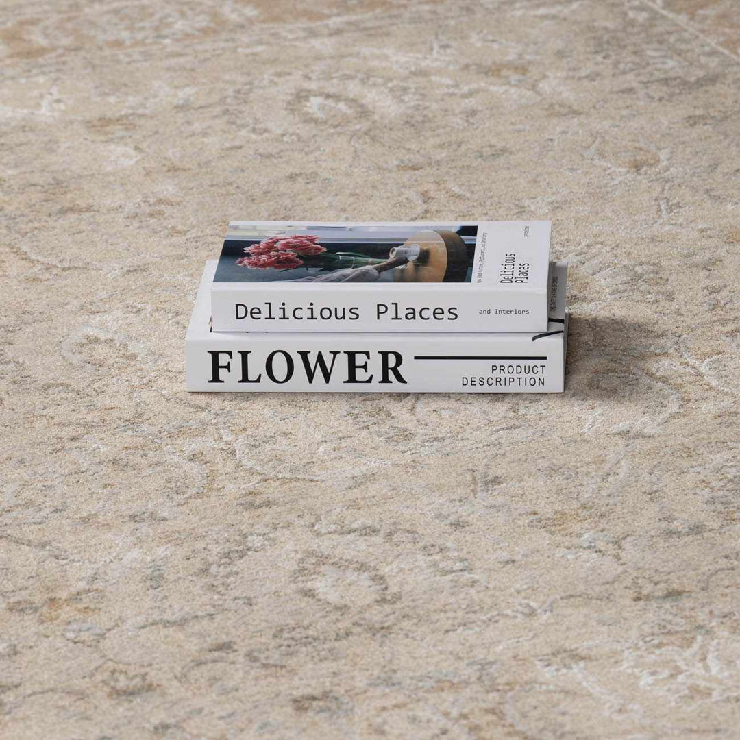 Airlia Traditional Style Beige And Gray Area Rug - The Rug Decor