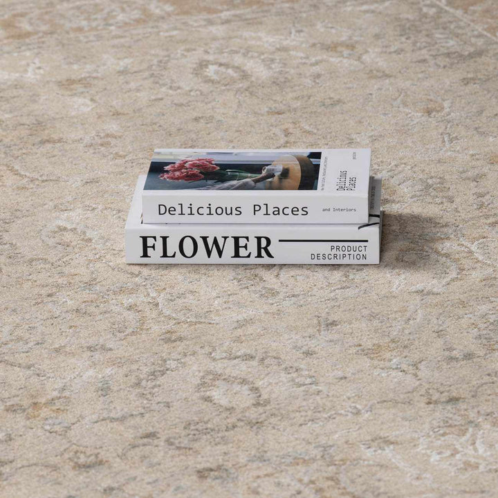 Airlia Traditional Style Beige And Gray Area Rug - The Rug Decor