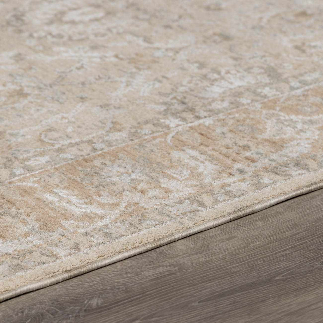 Airlia Traditional Style Beige And Gray Area Rug - The Rug Decor