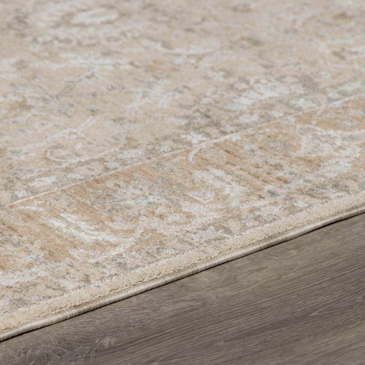 Airlia Traditional Style Beige And Gray Area Rug - The Rug Decor