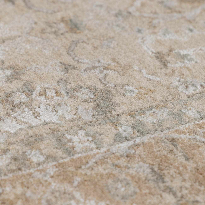 Airlia Traditional Style Beige And Gray Area Rug - The Rug Decor