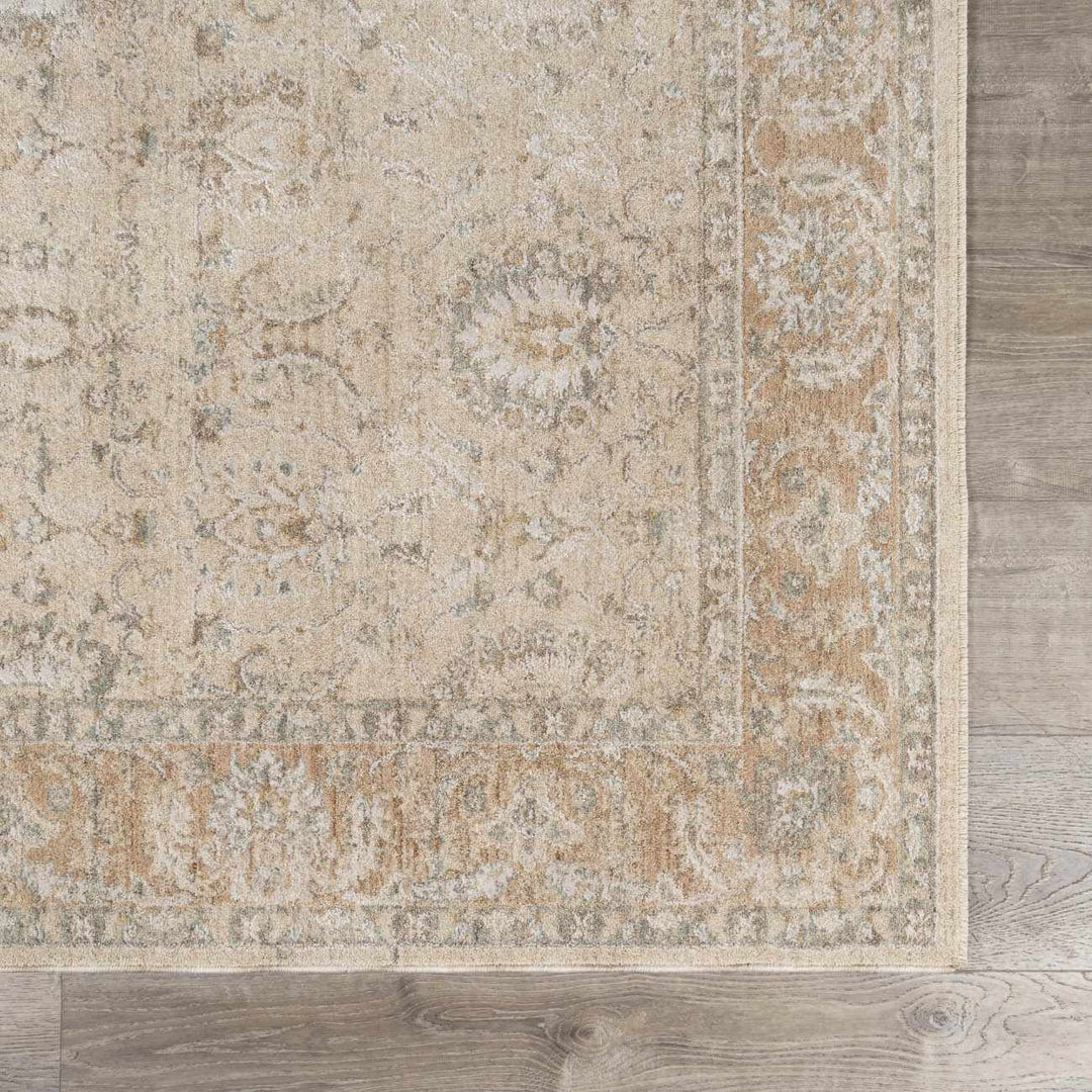 Airlia Traditional Style Beige And Gray Area Rug - The Rug Decor