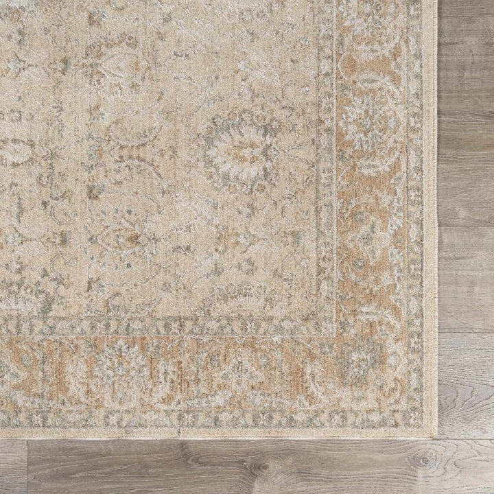 Airlia Traditional Style Beige And Gray Area Rug - The Rug Decor