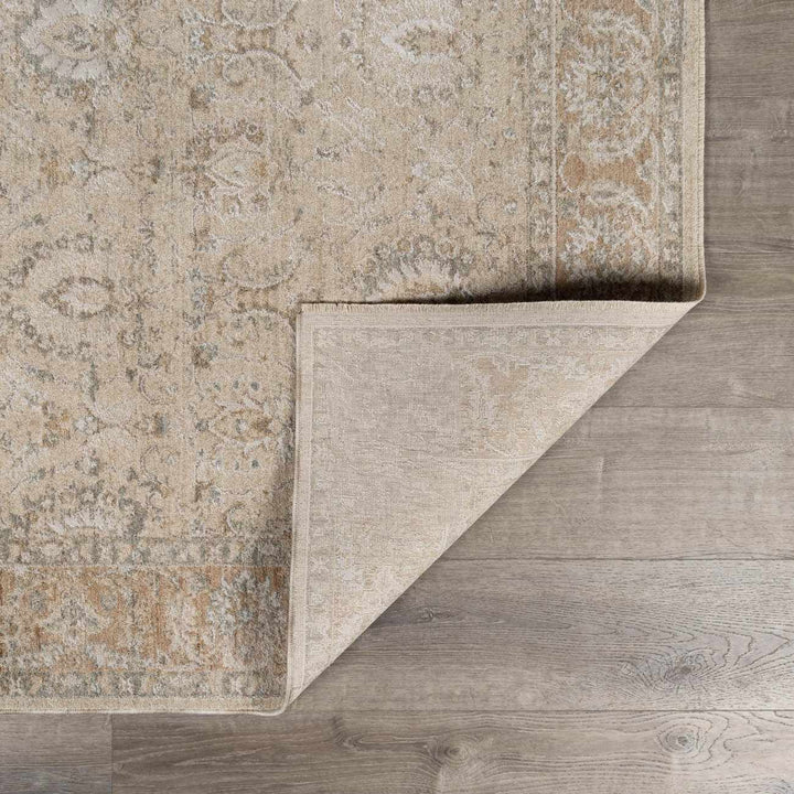 Airlia Traditional Style Beige And Gray Area Rug - The Rug Decor