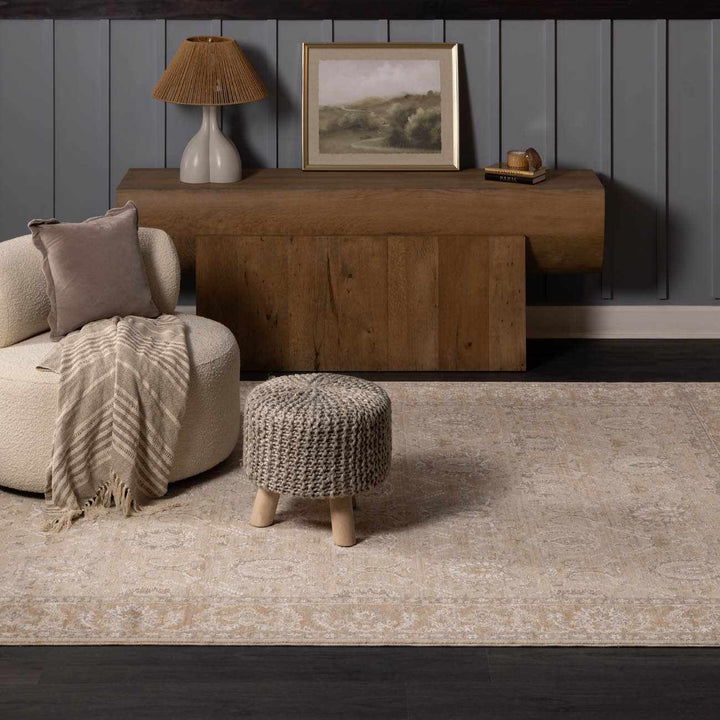 Airlia Traditional Style Beige And Gray Area Rug - The Rug Decor