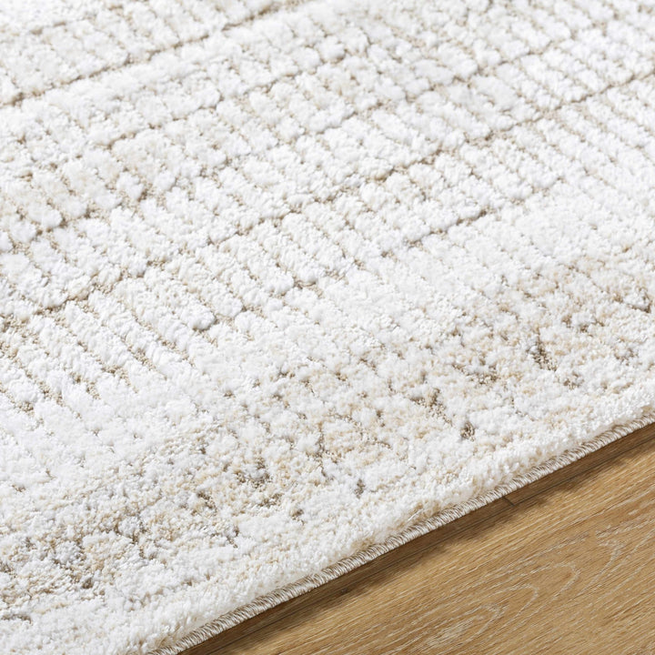 Akande Cream And Ivory Modern Style Rug - The Rug Decor