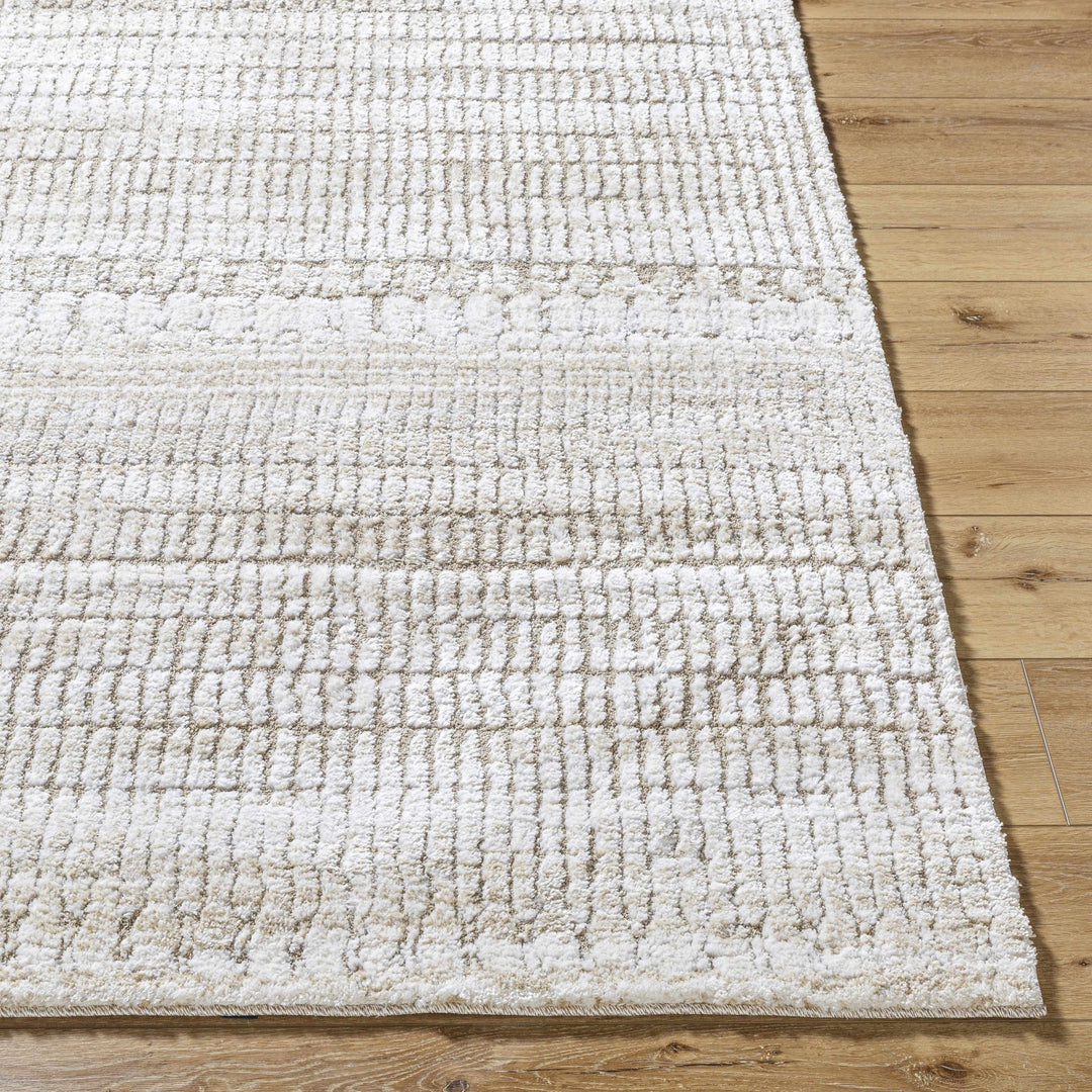 Akande Cream And Ivory Modern Style Rug - The Rug Decor