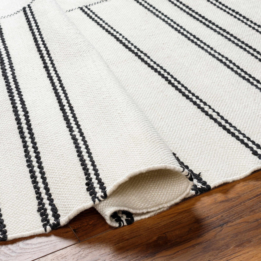 Akash Off White Modern Style Hand Woven Area Rug - The Rug Decor