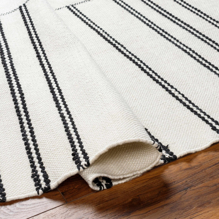 Akash Off White Modern Style Hand Woven Area Rug - The Rug Decor