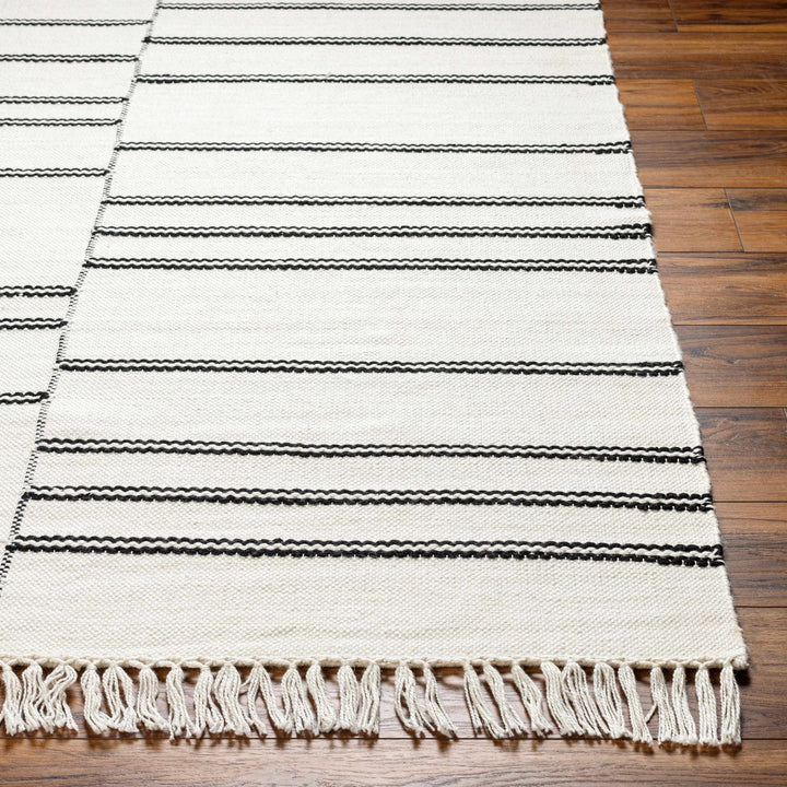 Akash Off White Modern Style Hand Woven Area Rug - The Rug Decor