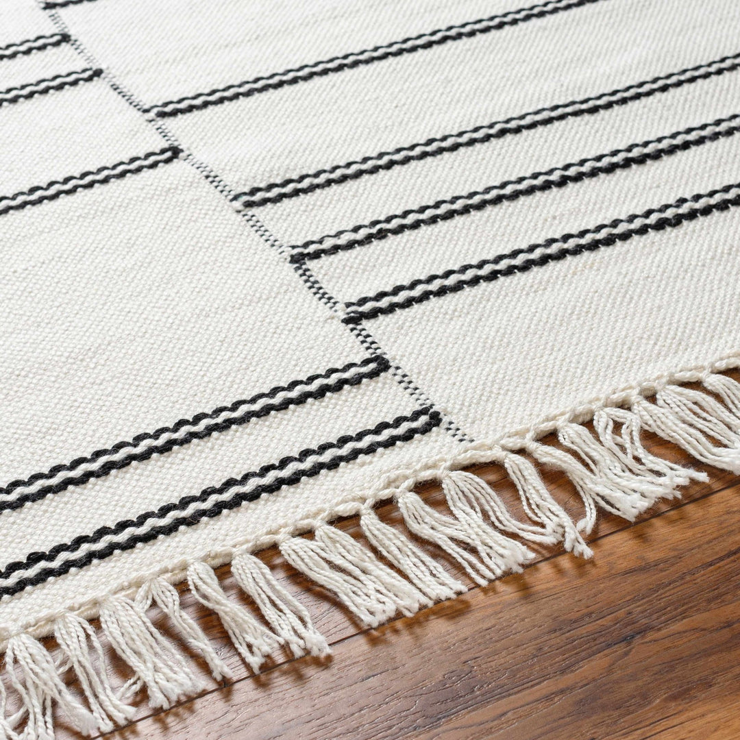 Akash Off White Modern Style Hand Woven Area Rug - The Rug Decor