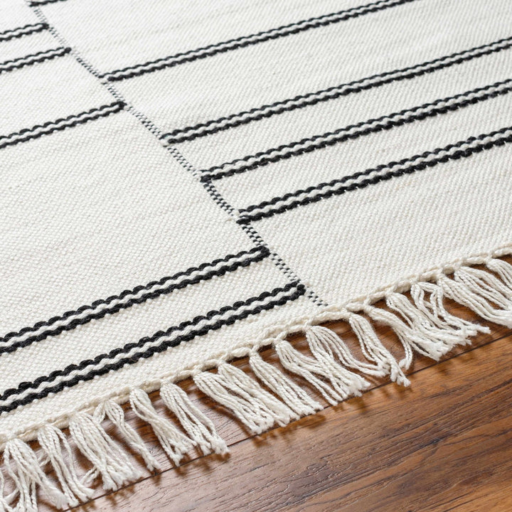 Akash Off White Modern Style Hand Woven Area Rug - The Rug Decor