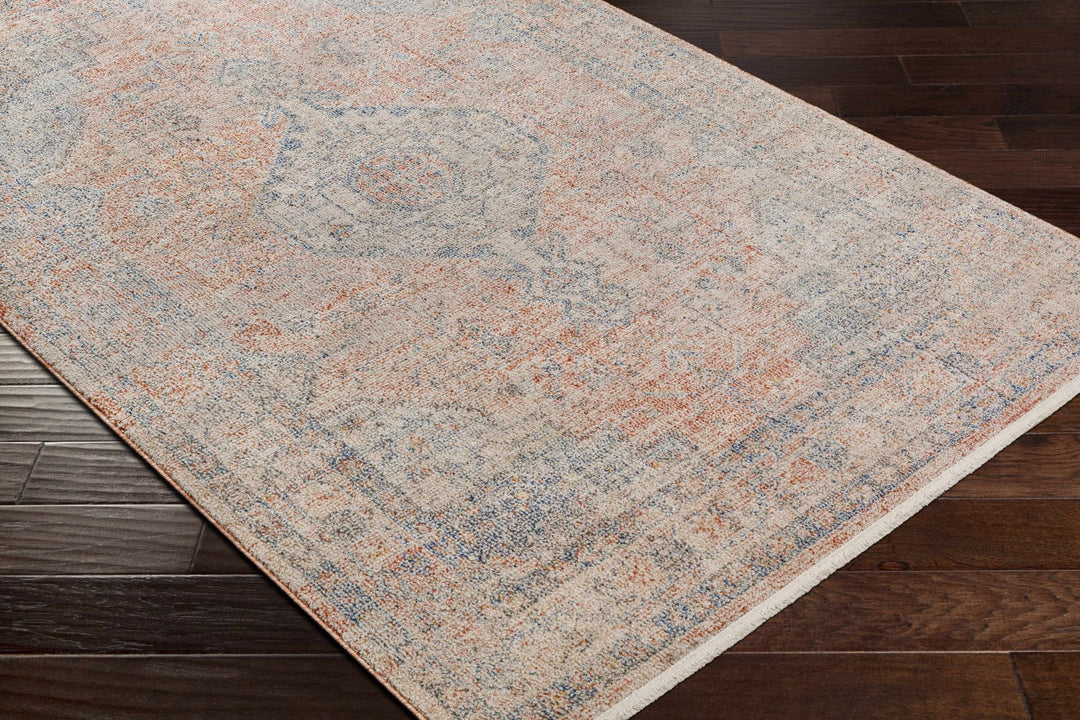 Akio Traditional Style Beige And Blue Area Rug - The Rug Decor