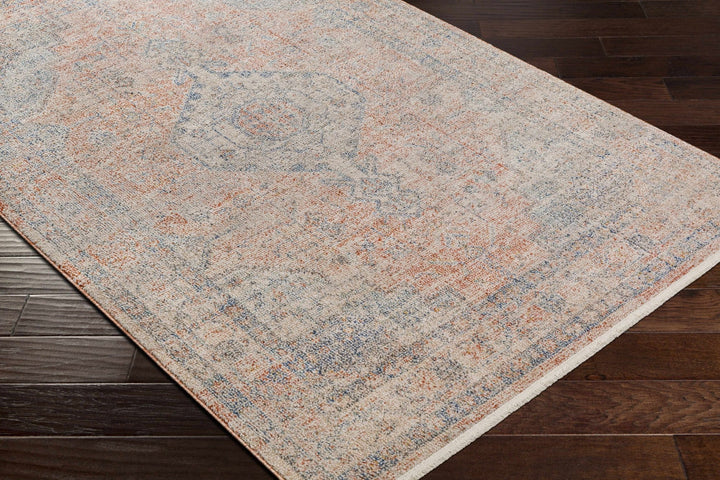 Akio Traditional Style Beige And Blue Area Rug - The Rug Decor