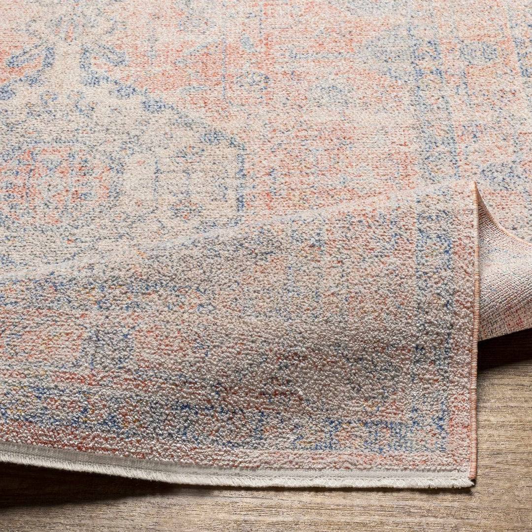 Akio Traditional Style Beige And Blue Area Rug - The Rug Decor