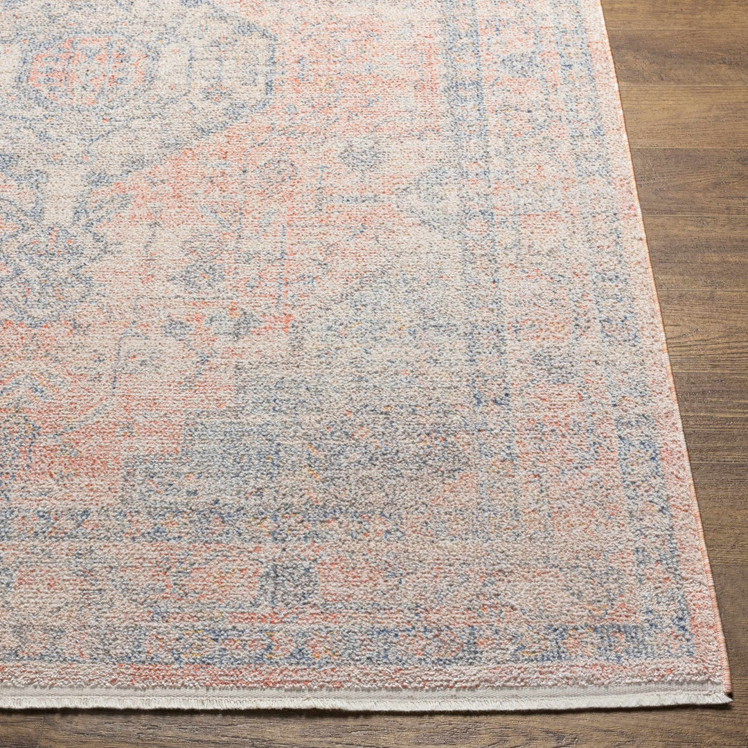 Akio Traditional Style Beige And Blue Area Rug - The Rug Decor