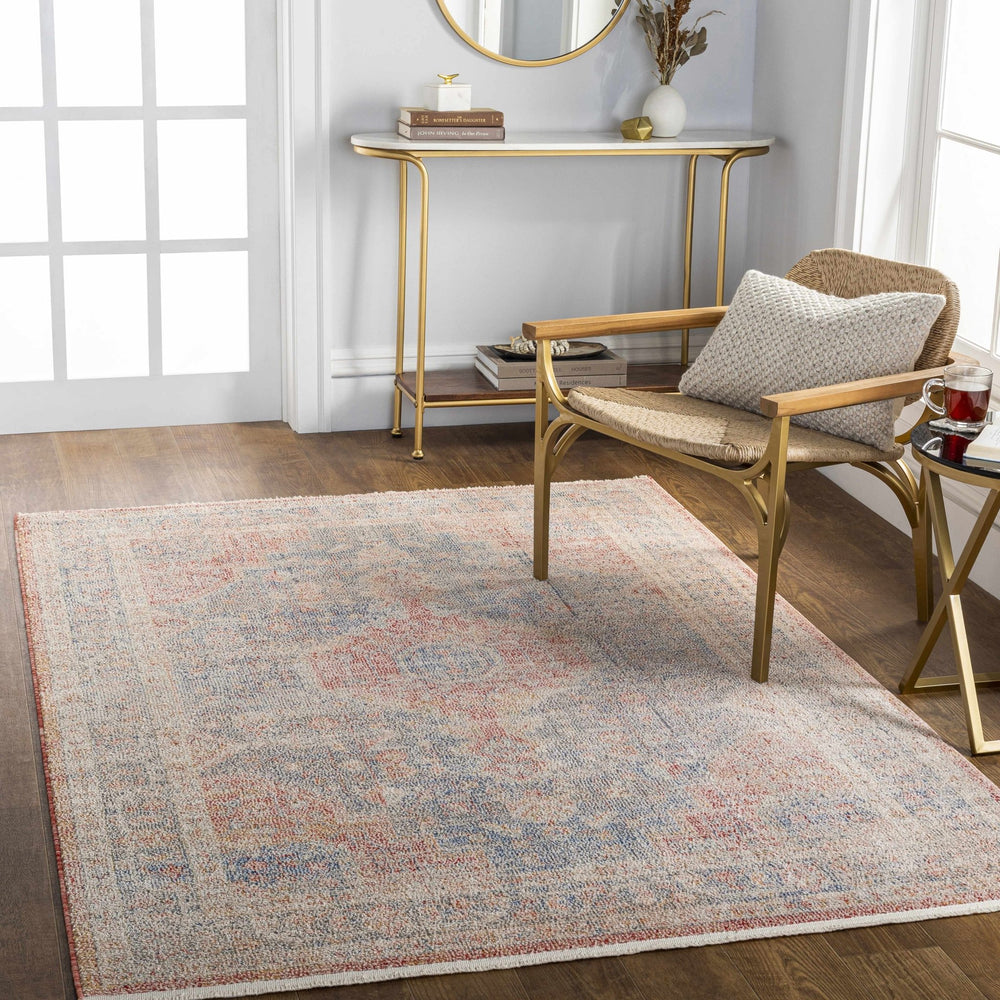 Akio Traditional Style Red & Blue Rug - The Rug Decor