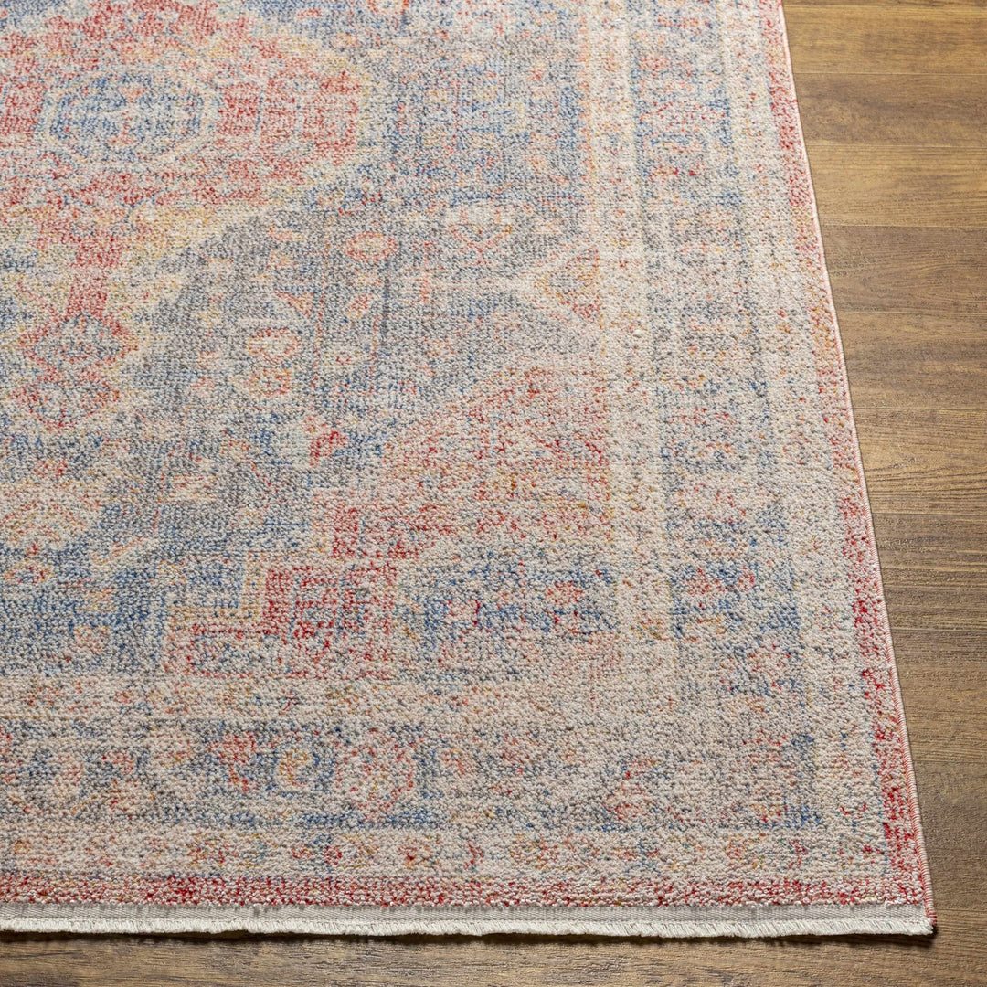 Akio Traditional Style Red & Blue Rug - The Rug Decor