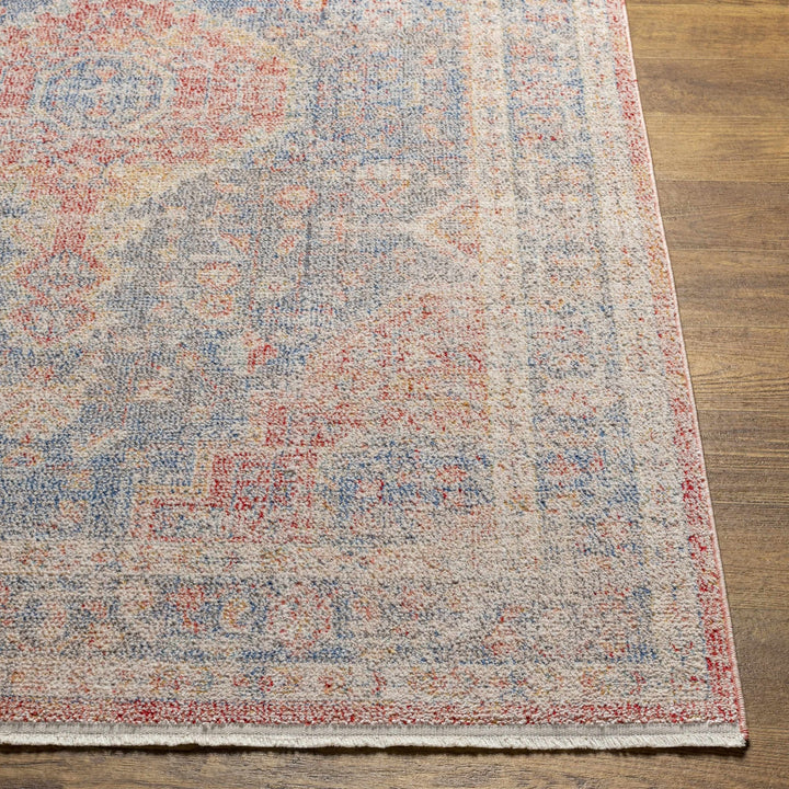 Akio Traditional Style Red & Blue Rug - The Rug Decor