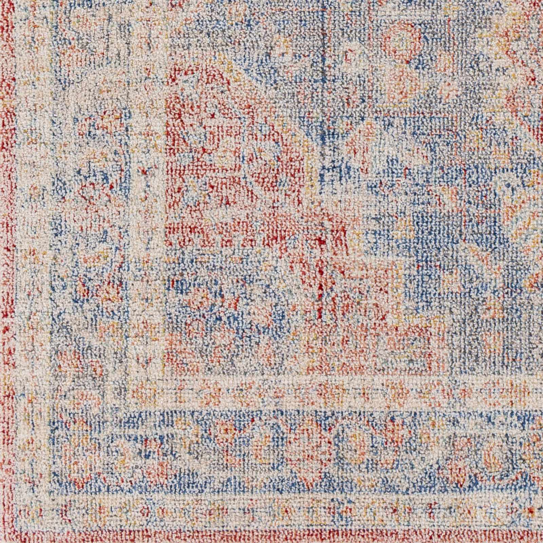 Akio Traditional Style Red & Blue Rug - The Rug Decor