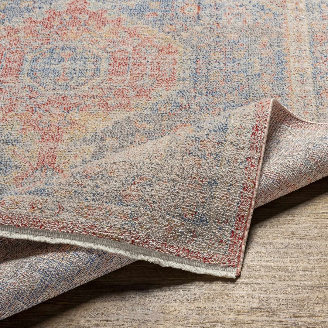 Akio Traditional Style Red & Blue Rug - The Rug Decor