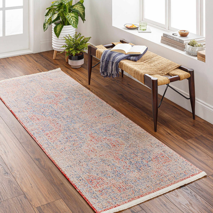Akio Traditional Style Red & Blue Rug - The Rug Decor