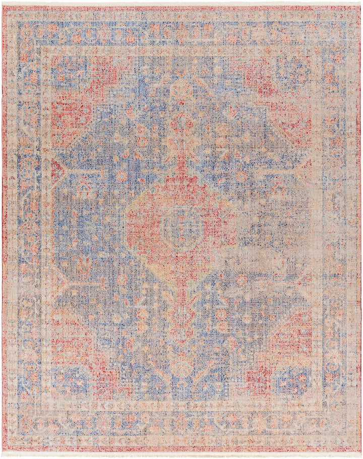 Akio Traditional Style Red & Blue Rug - The Rug Decor